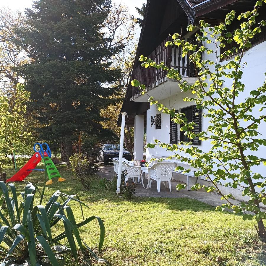 Sorg House Forest & Lake Villa Besenovacki Prnjavor Екстериор снимка