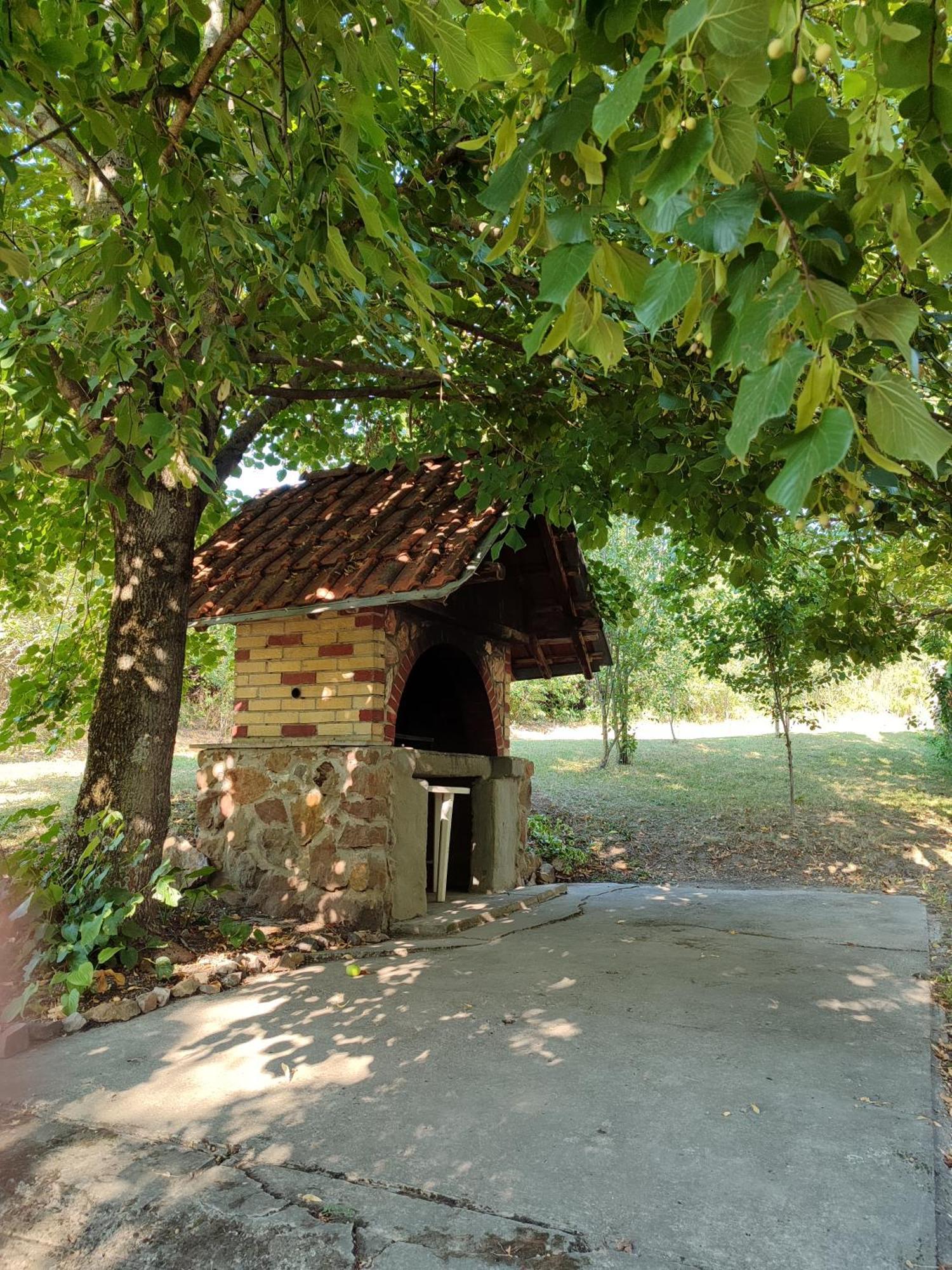 Sorg House Forest & Lake Villa Besenovacki Prnjavor Екстериор снимка